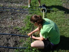 Allison setting-up the drip irrigation system!